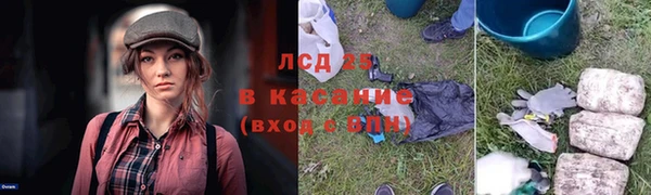 прущие крисы Арсеньев