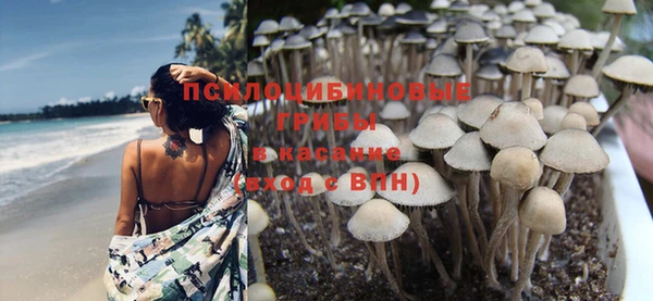 прущие крисы Арсеньев