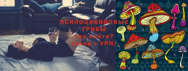 прущие крисы Арсеньев